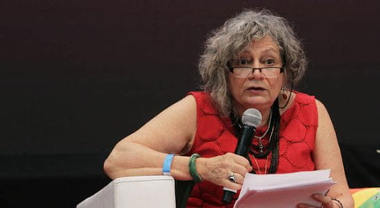 Raza, género y derechos desde la perspectiva de la colonialidad