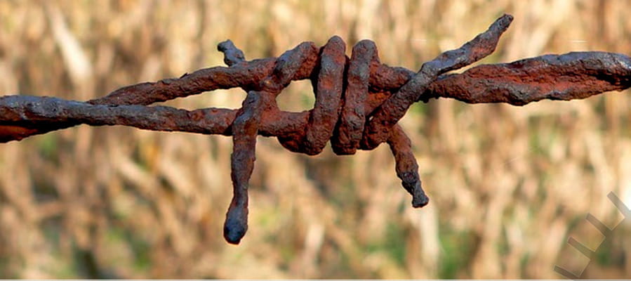  Configuración del capital y del poder en los territorios rurales de América Latina