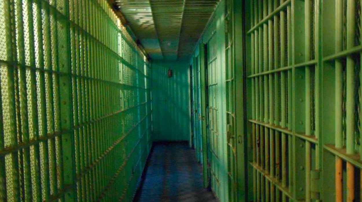  Racismo y criminología