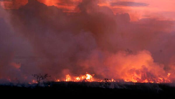  Amazônia em chamas