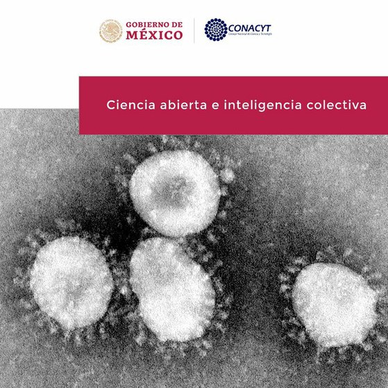  «Conacyt impulsará programas con beneficios para América Latina»