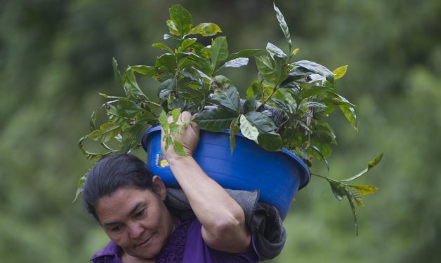 O desejo que impulsiona a luta das mulheres comunitárias em Honduras.
