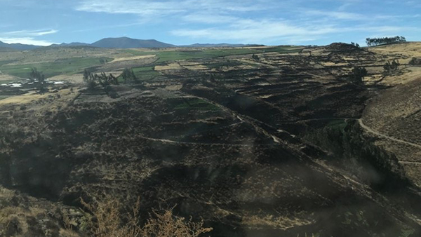  Una mirada a la pequeña producción agrícola del Perú en tiempos de cuarentena