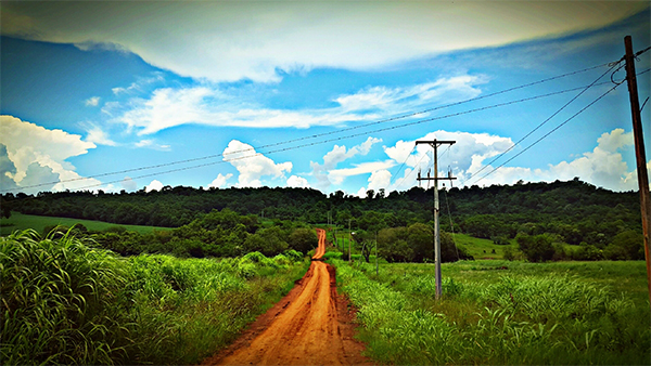 La trampa de la fiscalidad. Desigualdad y protección social en debate