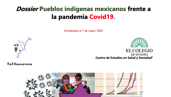  Dossier: Pueblos indígenas mexicanos frente a la pandemia de Covid-19