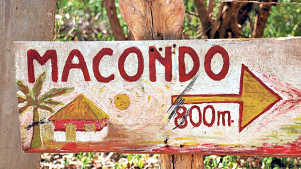  Los nuevos comienzos y la educación. Reflexiones desde el confinamiento