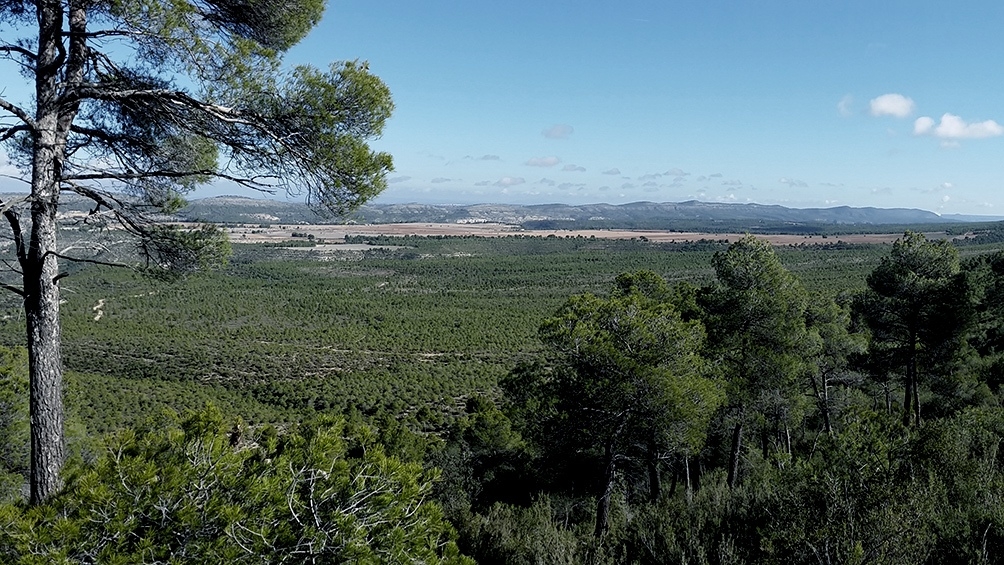  “Epidemiólogos destacaron la fuerte relación entre la sociedad y la naturaleza que expuso la pandemia”