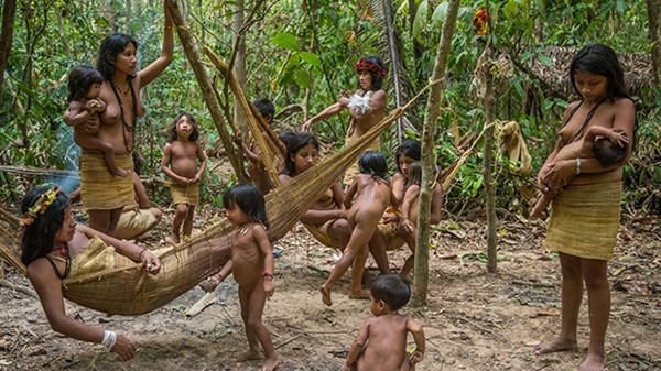  Pandemia, derechos y pueblos indígenas
