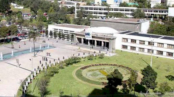  Universidad y pandemia