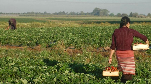  Diagnóstico de la situación de las mujeres rurales y urbanas, y disidencias en el contexto de COVID-19