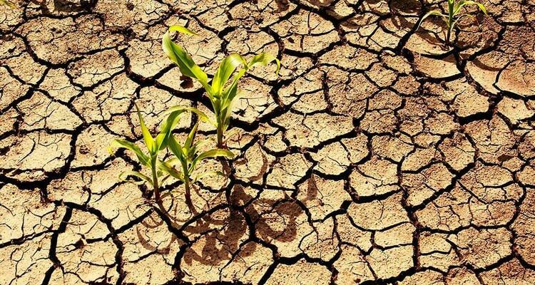  FOLEC – CLACSO lanza relevamiento regional e internacional sobre evaluación del financiamiento de la investigación orientada a problemas de desarrollo