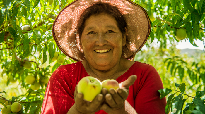  Recuperación con igualdad de género y justicia climática