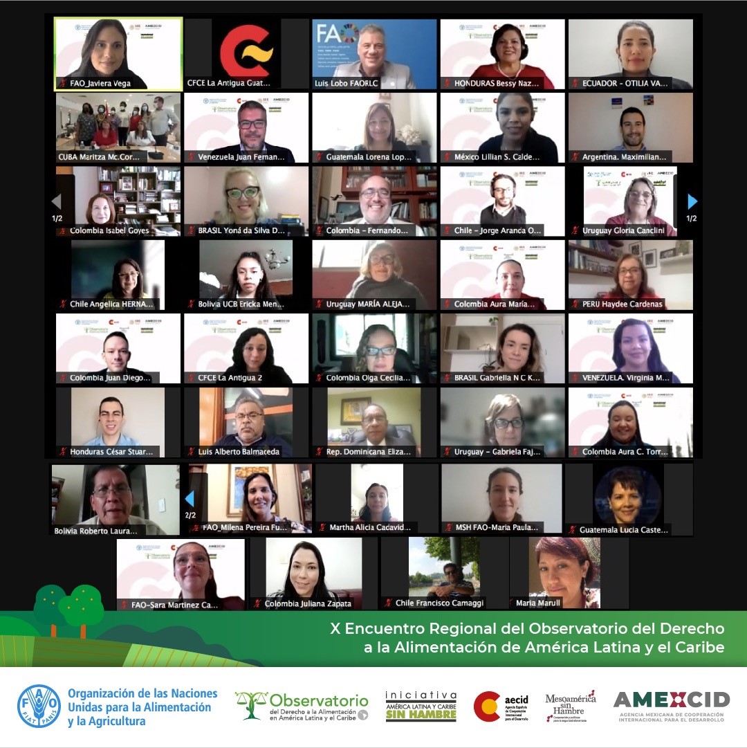  Más de 60 universidades comprometidas con el derecho a la alimentación celebran 10 años de trabajo conjunto en América Latina y el Caribe