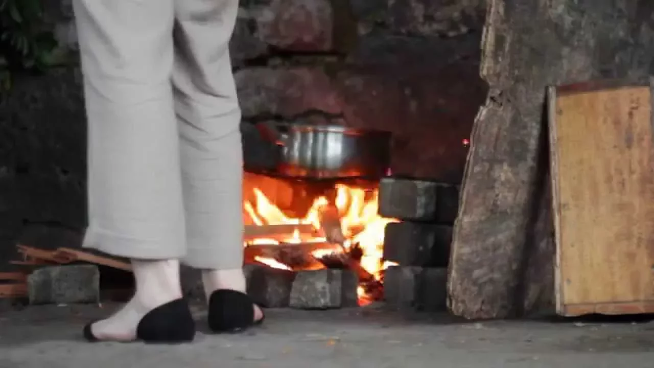  Feria virtual sobre la obra y el pensamiento de Paulo Freire en el siglo XXI: [Maria Luiza Adoryan Machado]