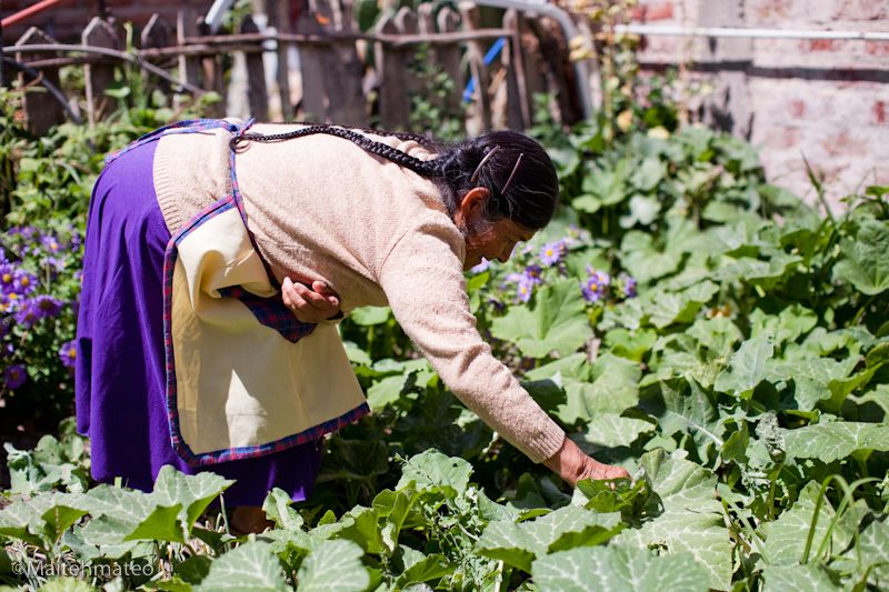  “La naturaleza no nos pertenece”