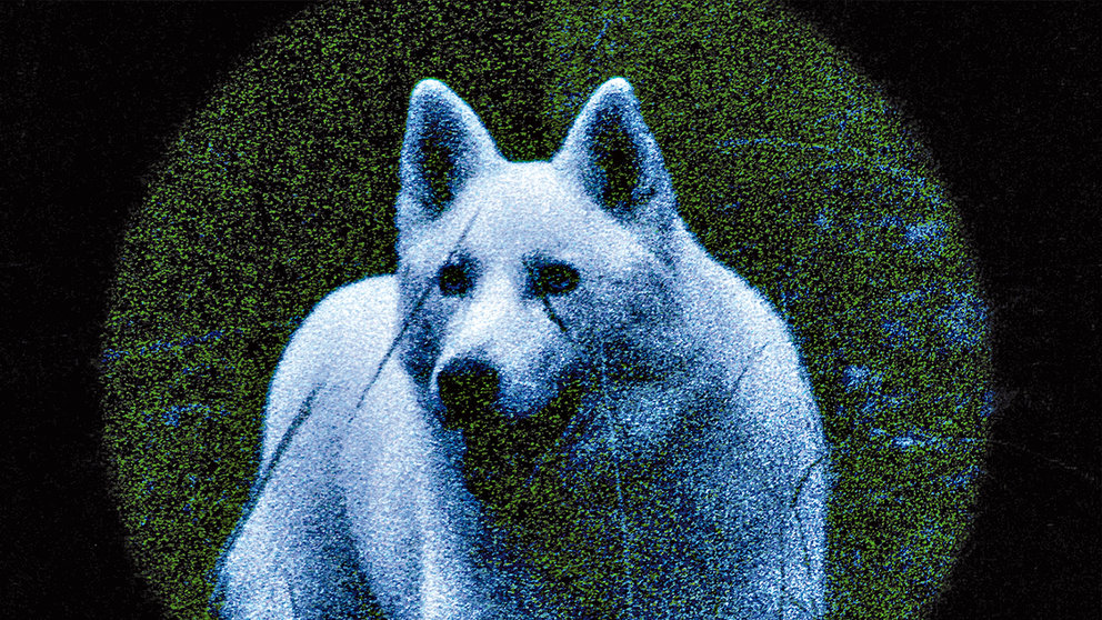  «El Gran Movimiento» es incluido en festival de Clacso en México sobre desigualdades