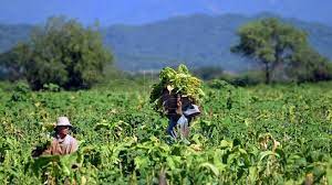  Clacso lanzó convocatoria para investigaciones conjuntas con la Academia China de Ciencias Sociales