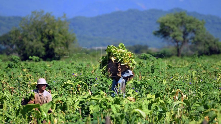  Clacso lanzó una convocatoria para investigaciones conjuntas con la Academia China de Ciencias Sociales