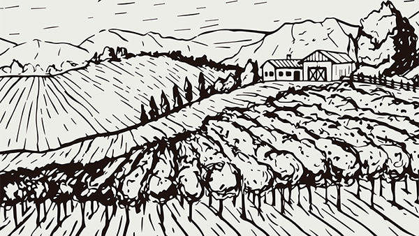  Estado del arte sobre cuidados en contextos de ruralidad en América Latina y el Caribe