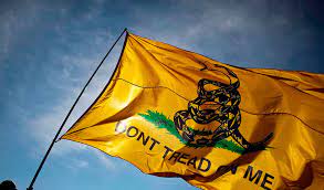  El fenómeno libertario, un síntoma de la crisis de la política tradicional 