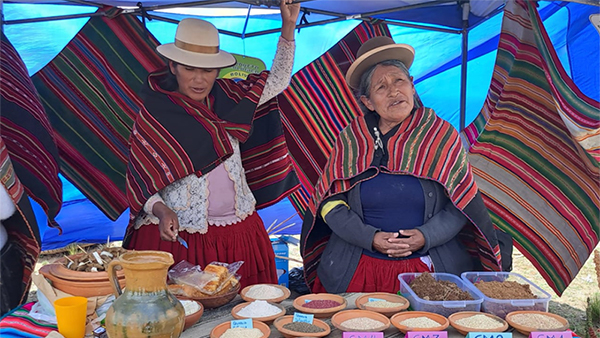  Comunidad de Práctica de Agroecología en los Andes