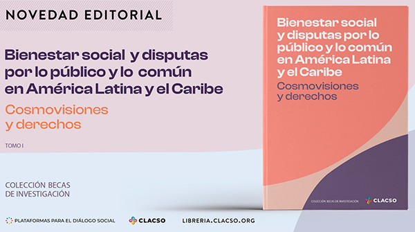  Bienestar social y disputas por lo público
