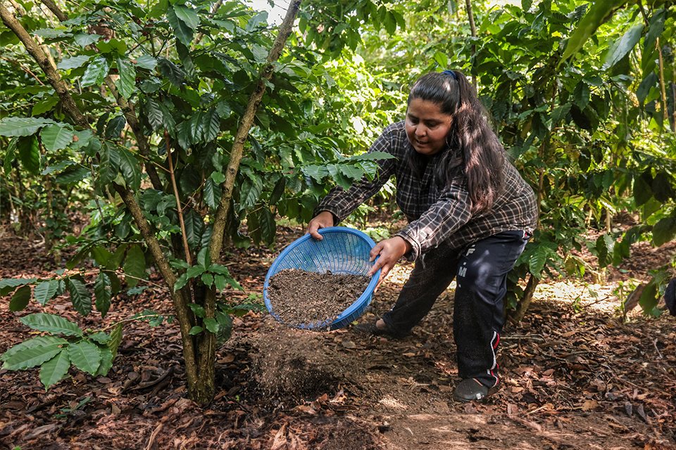  Cuidados en contextos de ruralidad en América Latina y el Caribe