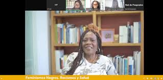  Feminismos negros, racismo y salud