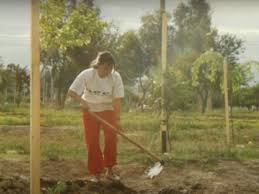  Cuando la tarea de reconstruir la memoria es valorada