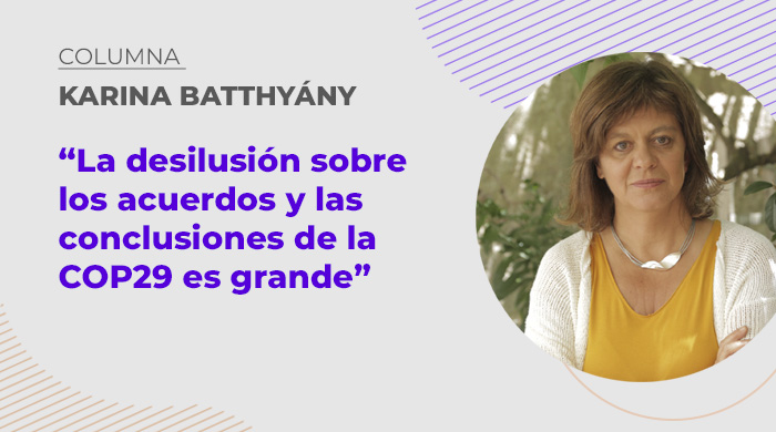  «La desilusión sobre los acuerdos y las conclusiones de la COP29 es grande»