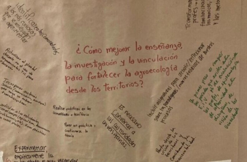  Evaluación participativa de las funciones sustantivas en carreras superior tecnológicas para la actualización de la enseñanza, la investigación y la vinculación, con el fin de territorializar la agroecología