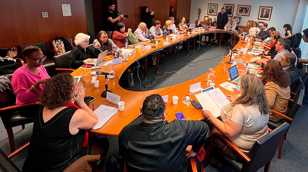  113 reunión del Comité Directivo de CLACSO