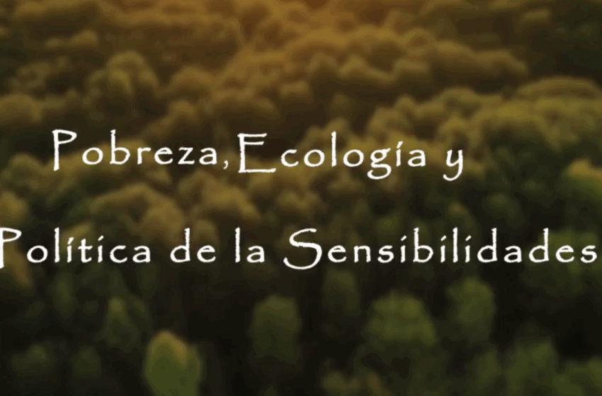  Pobreza, Ecología y Políticas de las Sensibilidades