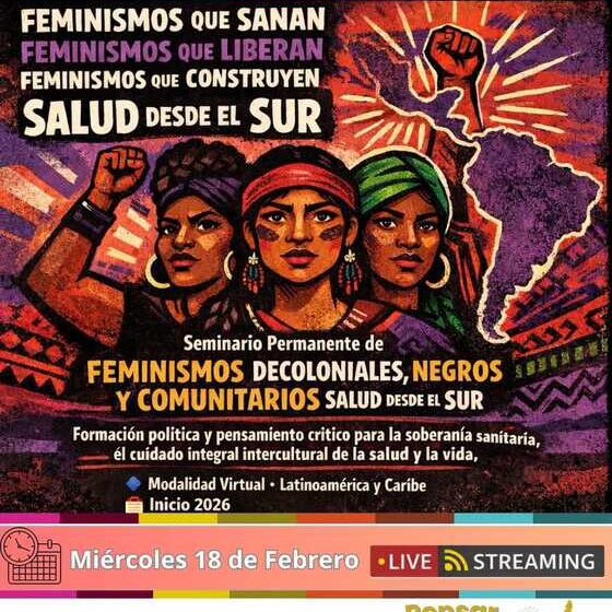  Seminario. Feminismos decoloniales, negros y comunitarios hacia una Salud desde el Sur. Primera sesión