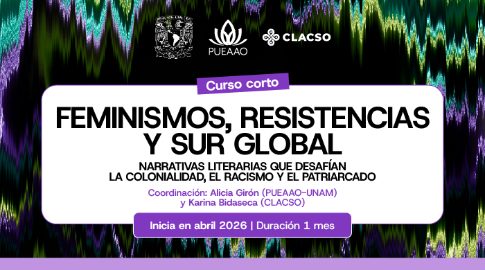  Curso virtual: Feminismos, resistencias y Sur Global