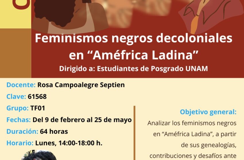  Les féminismes décoloniaux noirs dans l’« Amérique ladino »