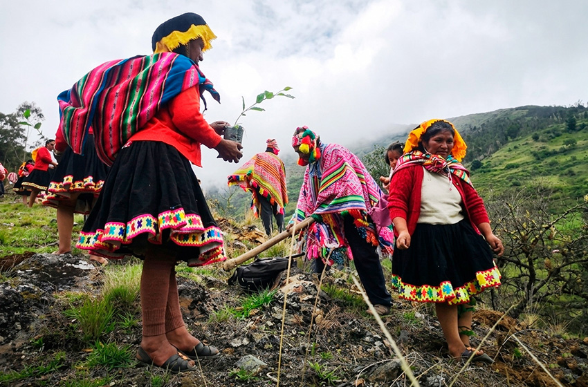  Día Internacional de la Madre Tierra