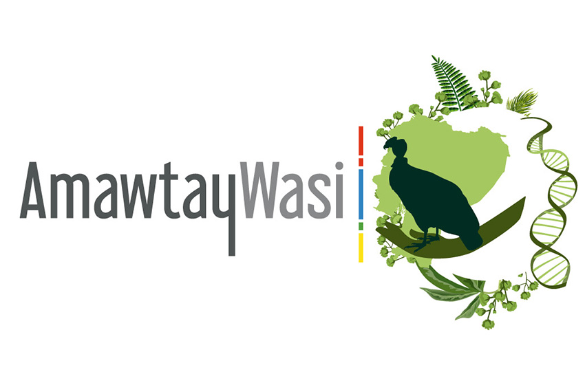  Instituto de Investigación en Biodiversidad de las Nacionalidades y Pueblos del Ecuador «Pachamamanta Kamak»