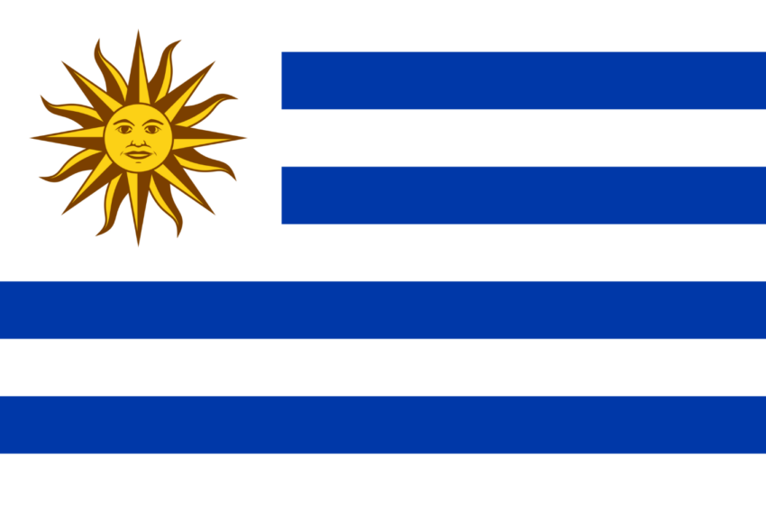  El largo camino para cambiar el sistema nacional de evaluación de la investigación en Uruguay