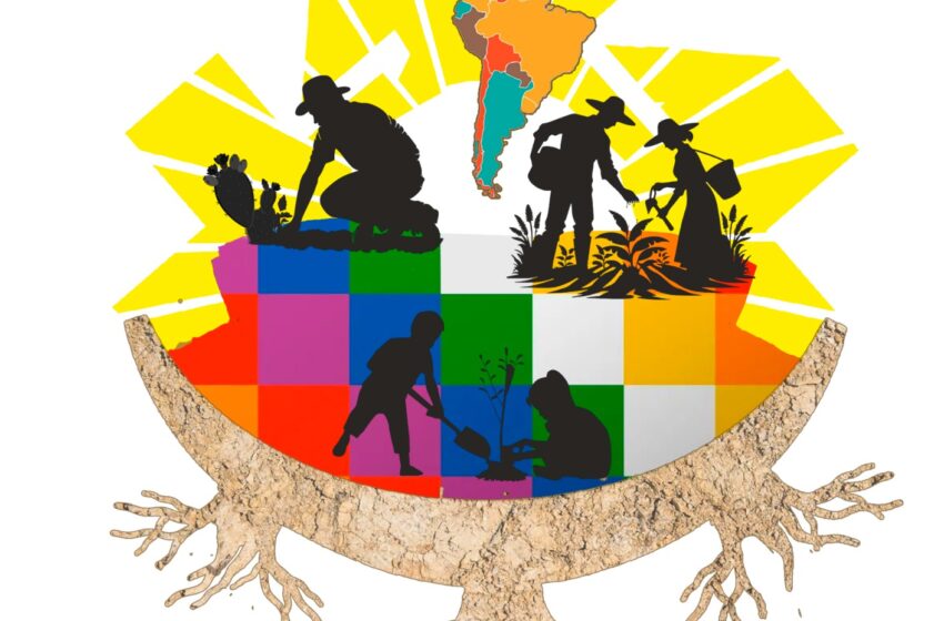  Procesos emergentes e innovaciones territoriales en los márgenes
