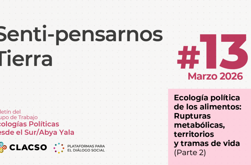  Boletín #13 Senti pensarnos Tierra